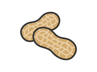 落花生のアイコン（線画カラー）のイラスト