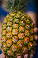 Dorodny apetyczny ananas trzymany w ręce  - obrazy, fototapety, plakaty