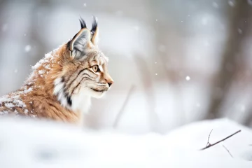 Muurstickers lynx pausing in snow, breath visible in crisp air © primopiano