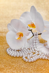 Obraz na płótnie Canvas A branch of white orchids on a shiny gold background 