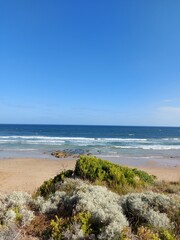 beach in the morning