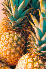 Tropical fruit pineapple still life in summertime