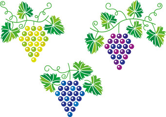 Grapes. Simplified design. - 706241960
