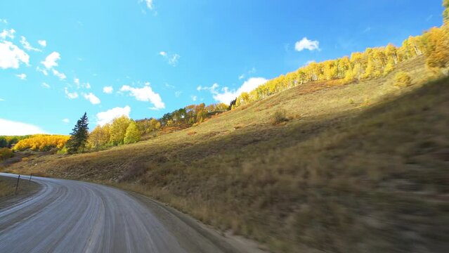 Kebler Pass, Colorado car driving vehicle shot view on scenic drive dirt winding road in autumn fall, aspen pine tree forest
