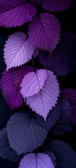 Leaves on black background Generative AI