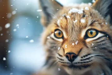 Wandcirkels aluminium close-up of lynx eyes amidst snowflakes © primopiano