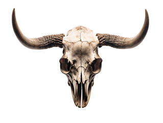 a skull with horns on a white background - obrazy, fototapety, plakaty