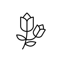 Flowers outline icons, minimalist vector illustration ,simple transparent graphic element .Isolated on white background
