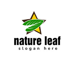 company leaves and stars logo design template
