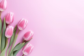 tulips frame, a pink bouquet of tulips on a pink background. Flat lay, with copy space.