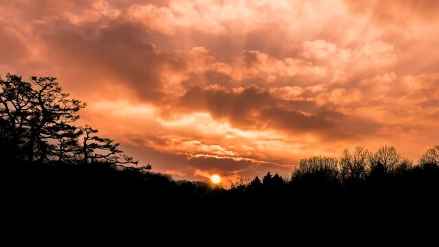 Time lapse, sun rising through the bushes
