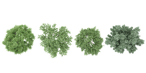 Elm,Dogwood trees collection of top view isolated on transparent background