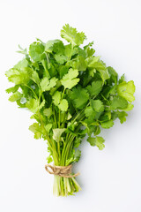 bunch of cilantro close up, isolated on white