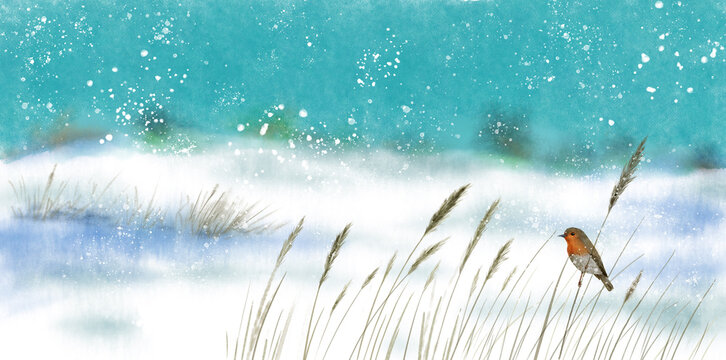 winter landscape with robin bird and snow, hand drawn watercolor illustration