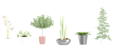 3d illustration of a collection of Myrtle,cactus semi,venus flytrap,bruno lily plants in pots, perfect for digital composition and architecture visualization