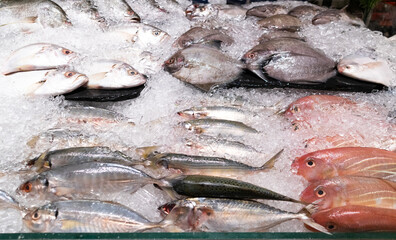 Variety of Fresh fish on ice at the Seafood market