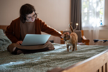 Busy teenager pet owner sitting on bed, working on laptop computer as freelancer. Beloved purring ginger breed cat Devon Rex diverting girl attention, requiring to stroke, caress, amuse, play