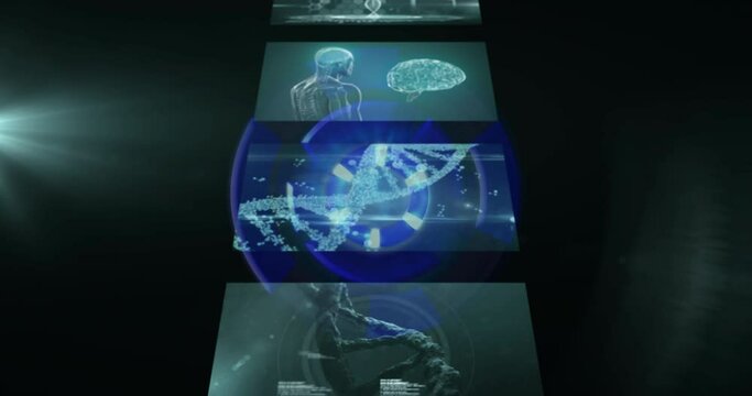 Animation of scientific data processing, dna strand and human brain over screens on dark background