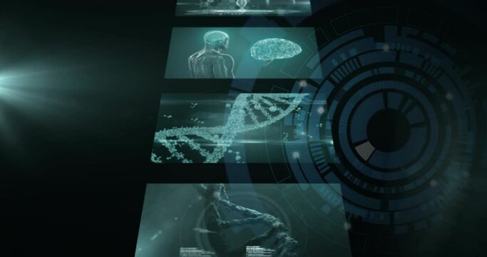 Animation of scientific data processing, dna strand and human brain over screens on dark background