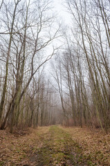 Rural Road in Sugar Grove, Pennsylvania