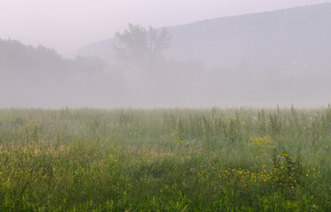 Fototapeta na wymiar View of a Field in Sugar Grove, Pennsylvania