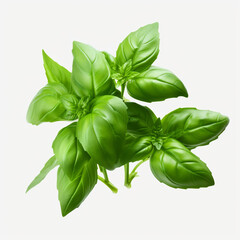 Obraz premium a bunch of basil leaves on a transparent backgroun created with Generative Ai