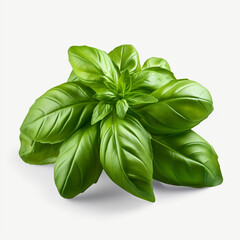a bunch of basil leaves on a transparent backgroun created with Generative Ai