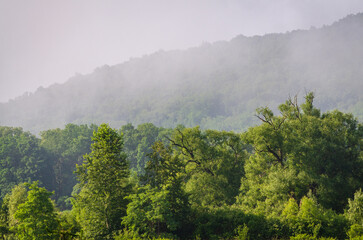 Forest Overlook at Sugar Grove, Pennsylvania