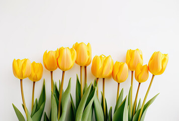 Group of Yellow Tulips Sitting Together in Full Bloom