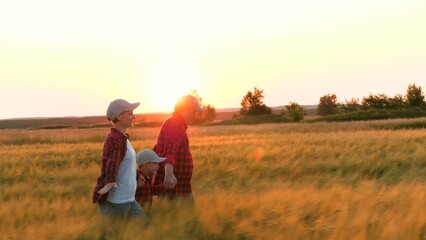 Farmer couple clasps child hands sprinting through wheat field at sunset. Farmer family assists...