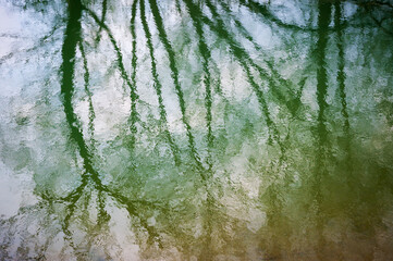 Reflection in the Water at The Conewango Creek in Sugar Grove, Pennsylvania, USA