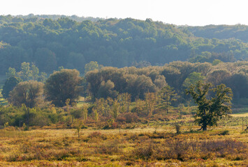 View of a Field in Sugar Grove, Pennsylvania