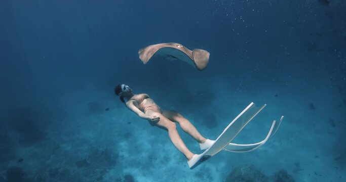 Attractive woman freediver swimming with sting ray in blue ocean in the Maldives.