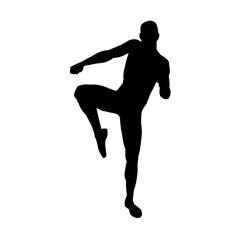 Silhouette of a male doing martial art kick pose. Silhouette of a martial art male doing kicking pose.
