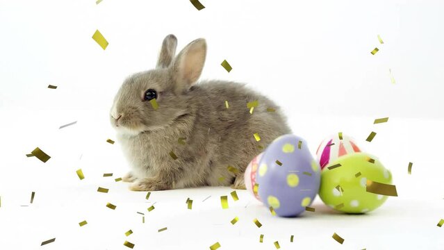 Animation of confetti falling over rabbit with easter eggs on white background