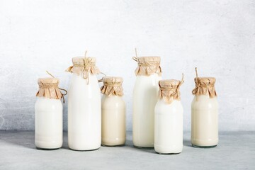 Non dairy plant based milk in bottles and ingredients on light background. Alternative lactose free...