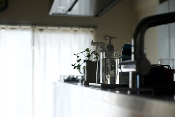 透明の容器に入れた食器洗い洗剤とキッチンの観葉植物