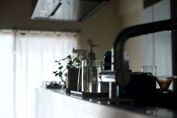 透明の容器に入れた食器洗い洗剤とキッチンの観葉植物