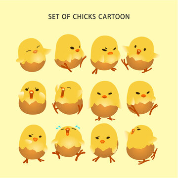 a set collection of cute expression chicks and chicken illustration