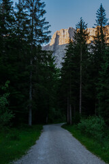 Obraz premium Scenic hiking trail in alpine forest. Sunrise view at mountain ridges Julian Alps. Early summer morning atmosphere in Italian Alps in Tarvisio, border Slovenia Austria, Friuli Venezia Giulia, Italy