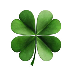 beautiful green 3d four leaf clover isolated on white or transparent background