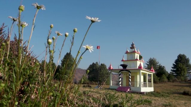 Creative shot: Beautiful Hindu temple dedicated to Serpent God Nag Devta, white flowers in foreground. Himalayan meadow, Uttarakhand, India.