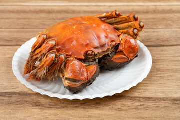 angle view fresh cooked crab at horizontal composition