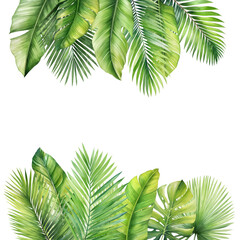 Green palm leaf. Tropical plants. Watercolor botany. Decor composition of botany, monstera, flowers in the jungle
