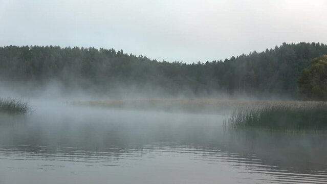 Summer end  Morning mist above lake water and forest, zoom on