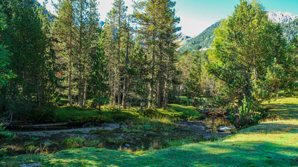 Aiguestortes National Park, Catalonia, Spain, Europe.