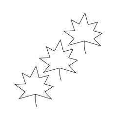maple leaves set, sketch vector illustration, isolated on white background.