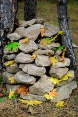 Stacked stones with fallen bright maple leaves