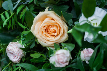 Vivid Floral Symphony: Close-Up of a Flower Arrangement Featuring Various Roses in a Beautiful Bunch.