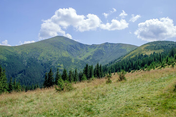 Fototapeta premium Ukrainian Carpathian Mountains. Mount Hoverla.